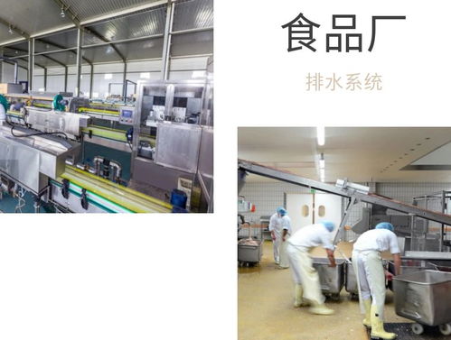 食品廠車(chē)間排水布局設(shè)計(jì)與地漏選擇建議